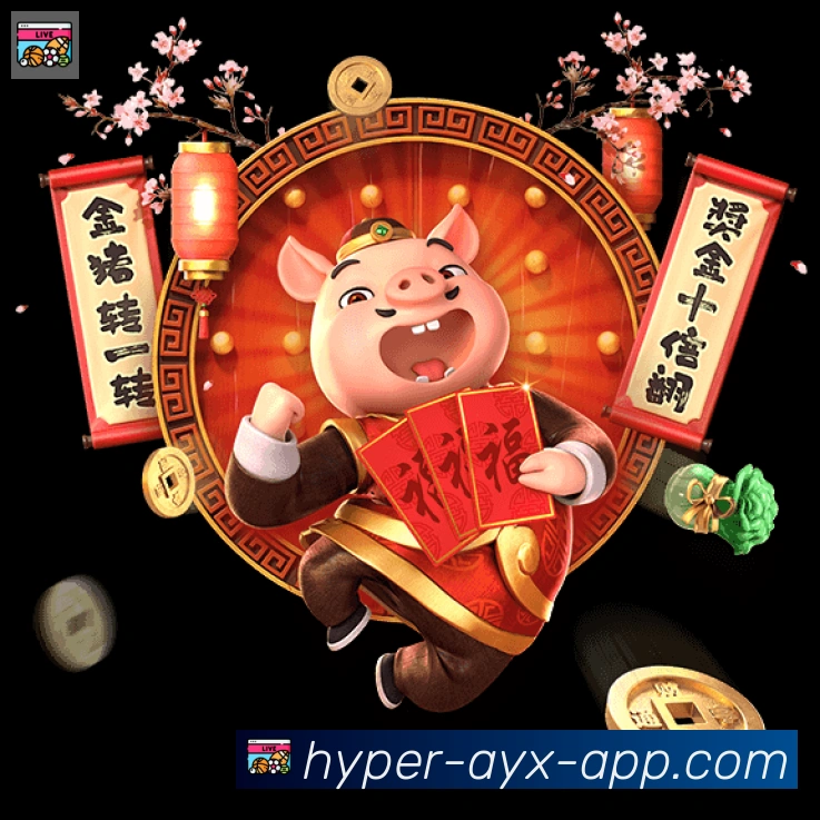未来规划