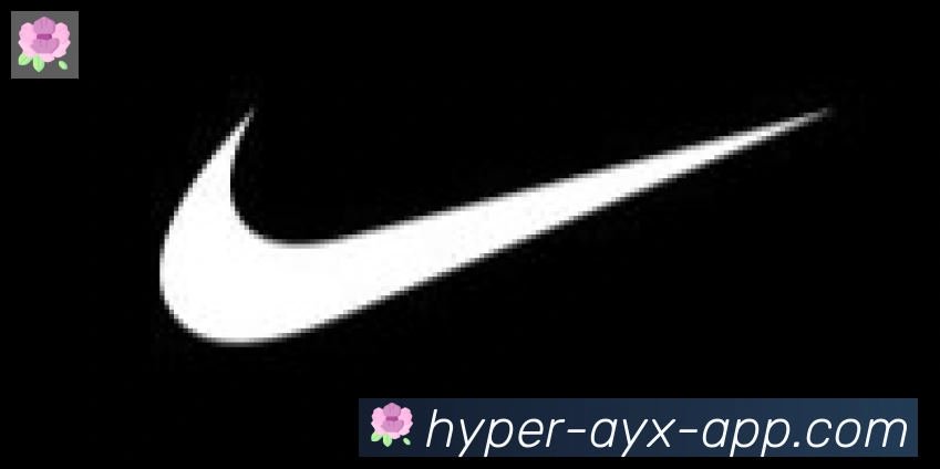 ayx体育合作伙伴